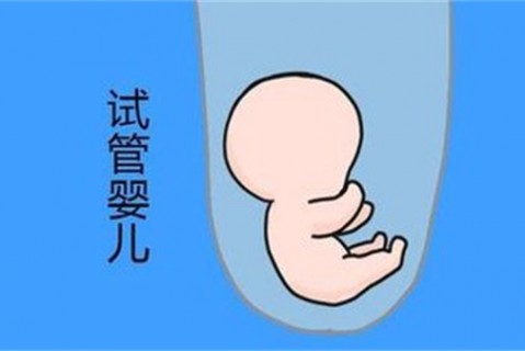 培养深圳捐卵宝宝艺术细胞的小技巧